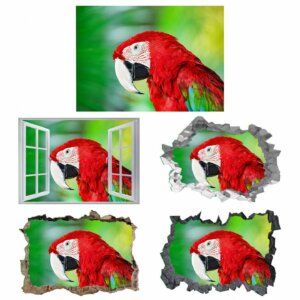 Parrot Wall Sticker - Self Adhesive Wall Sticker, Animal Wall Decal, Bedroom Wall Sticker, Removable Vinyl, Wall Decoration