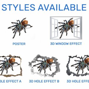 Spider Wall Sticker - Self Adhesive Wall Decal, Animal Wall Decal, Bedroom Wall Sticker, Removable Vinyl, Wall Decoration