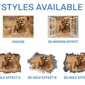 Lion Wall Sticker - Self Adhesive Wall Decal, Animal Wall Decal, Bedroom Wall Sticker, Removable Vinyl, Wall Decoration
