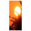 Sunset over the Palm Trees Door Sticker Peel & Stick Vinyl Door Wrap Art Décor