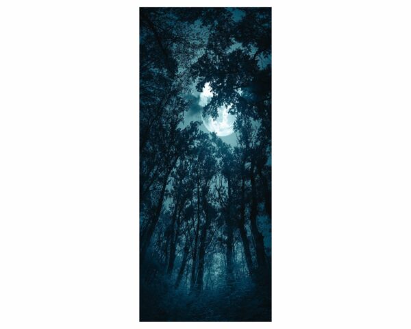 Full Moon over the Forest Door Sticker Peel & Stick Vinyl Door Wrap Art Décor