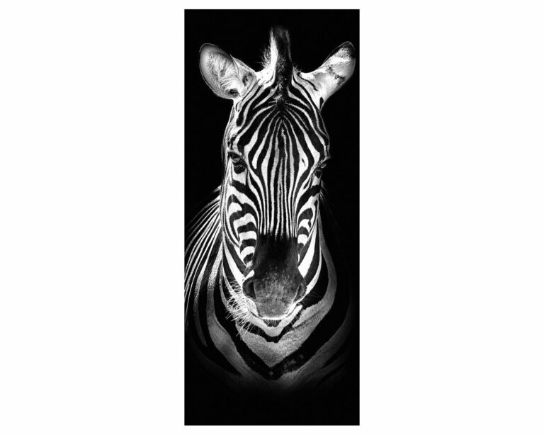 Zebra in Black Door Sticker Peel & Stick Vinyl Door Wrap Art Décor