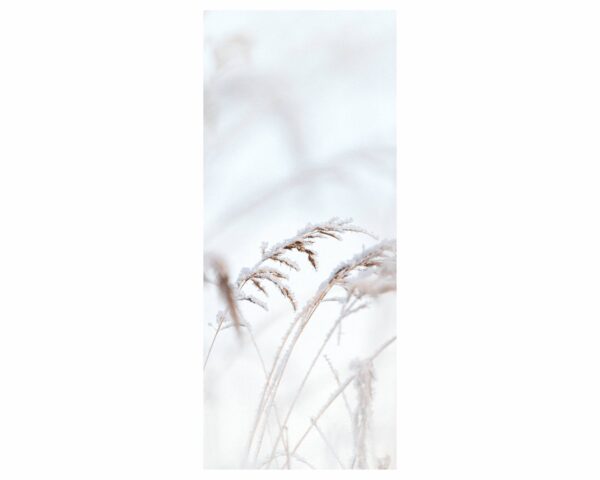 Grasses in Winter Door Sticker Peel & Stick Vinyl Door Wrap Art Décor