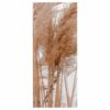 Pampas Grass Door Sticker Peel & Stick Vinyl Door Wrap Art Décor