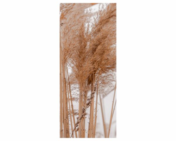 Pampas Grass Door Sticker Peel & Stick Vinyl Door Wrap Art Décor