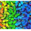 Rainbow Butterflies Table Wrap Sticker Laminated Vinyl Cover Self-Adhesive for Desk and Tables