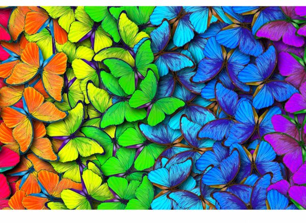 Rainbow Butterflies Table Wrap Sticker Laminated Vinyl Cover Self-Adhesive for Desk and Tables