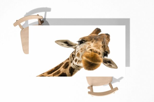 Happy Giraffe Table Wrap Sticker Laminated Vinyl Cover Self-Adhesive for Desk and Tables