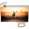 Deer on Lace Table Wrap Sticker Laminated Vinyl Cover Self-Adhesive for Desk and Tables