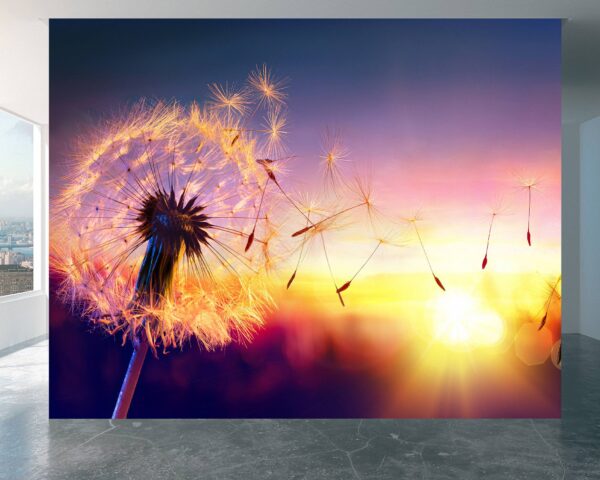 Sunset dandelion design on home wallpaper.