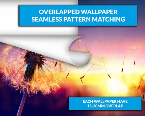 Flowing Dandelion in Sunset Wallpaper Photo Wall Mural Wall UV Print Decal Wall Art Décor