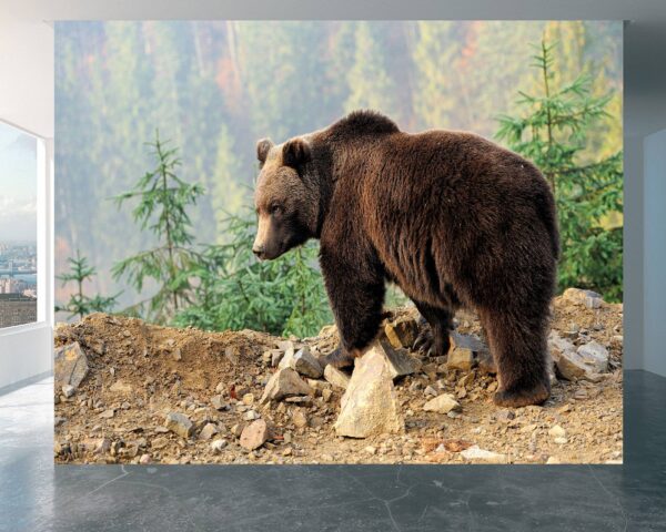 Bedroom wall adorned with bear wallpaper