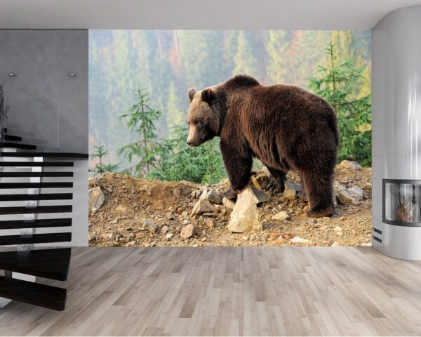 Bear wall decor in a well-lit room