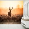 Deer in Sunset View Wallpaper Photo Wall Mural Wall UV Print Decal Wall Art Décor