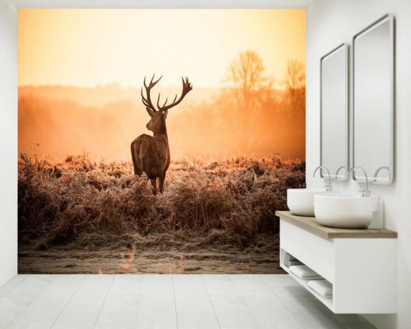 Deer in Sunset View Wallpaper Photo Wall Mural Wall UV Print Decal Wall Art Décor