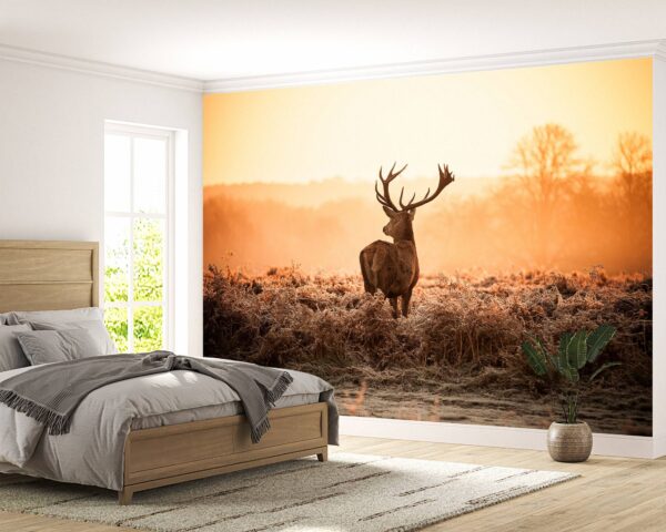 Deer in Sunset View Wallpaper Photo Wall Mural Wall UV Print Decal Wall Art Décor