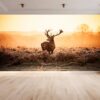 Deer in Sunset View Wallpaper Photo Wall Mural Wall UV Print Decal Wall Art Décor