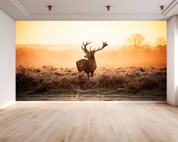 Deer in Sunset View Wallpaper Photo Wall Mural Wall UV Print Decal Wall Art Décor