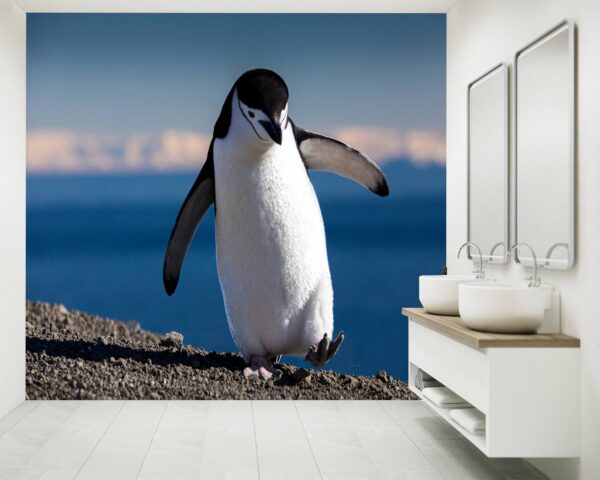 Lovely Penguin on Walk Wallpaper Photo Wall Mural Wall UV Print Decal Wall Art Décor