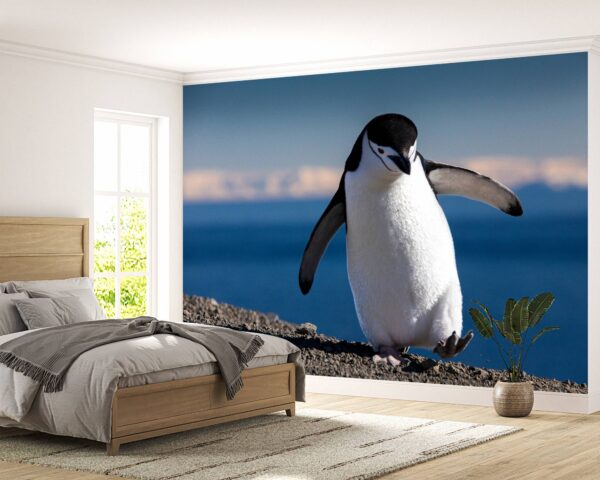 Lovely Penguin on Walk Wallpaper Photo Wall Mural Wall UV Print Decal Wall Art Décor