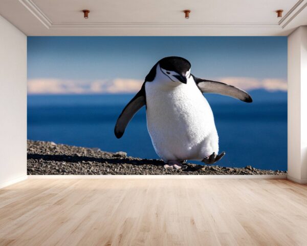 Lovely Penguin on Walk Wallpaper Photo Wall Mural Wall UV Print Decal Wall Art Décor