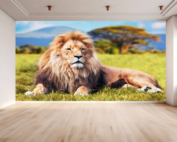 Relaxing Lion in Safari Wallpaper Photo Wall Mural Wall UV Print Decal Wall Art Décor