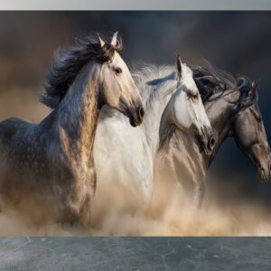 Three Running Horses Theme Wallpaper Photo Wall Mural Wall UV Print Decal Wall Art Décor