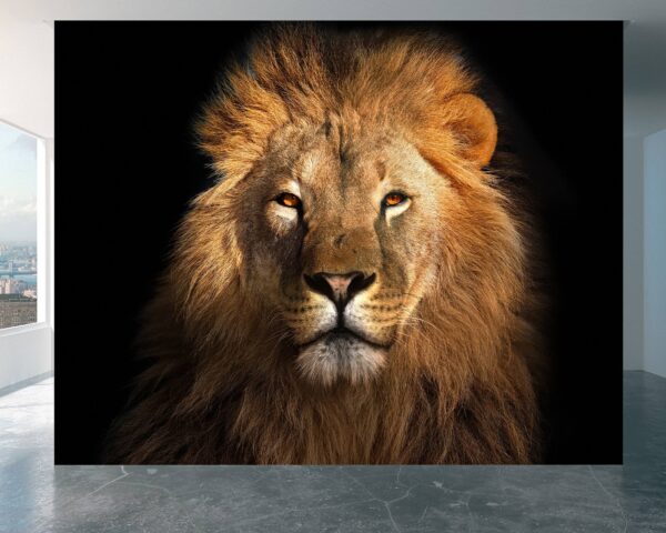 Head of a Lion on a Black Wallpaper Photo Wall Mural Wall UV Print Decal Wall Art Décor