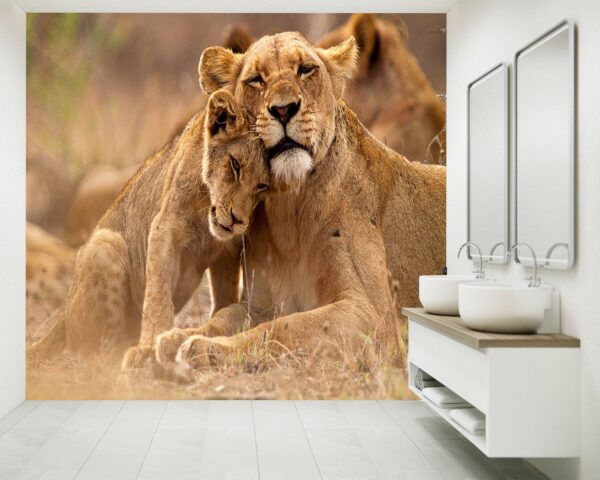 Lovely Hugging Lions Wallpaper Photo Wall Mural Wall UV Print Decal Wall Art Décor