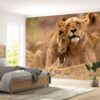 Lovely Hugging Lions Wallpaper Photo Wall Mural Wall UV Print Decal Wall Art Décor