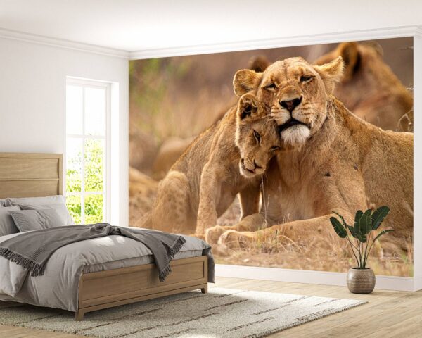 Lovely Hugging Lions Wallpaper Photo Wall Mural Wall UV Print Decal Wall Art Décor