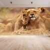 Lovely Hugging Lions Wallpaper Photo Wall Mural Wall UV Print Decal Wall Art Décor