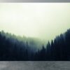 Mysterious Forest & Fog Wallpaper Photo Wall Mural Wall UV Print Decal Wall Art Décor