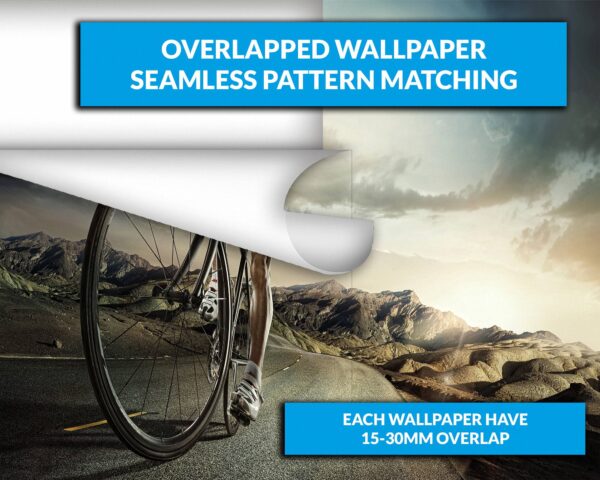 Road Cyclist Sport & Hobby Wallpaper Photo Wall Mural Wall UV Print Decal Wall Art Décor