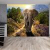 Peel and stick elephant wall decor roll