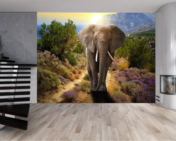 Peel and stick elephant wall decor roll