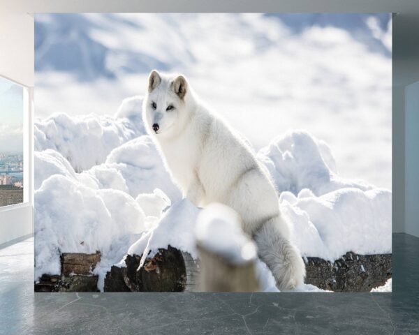 Peel and stick Arctic Fox wallpaper roll