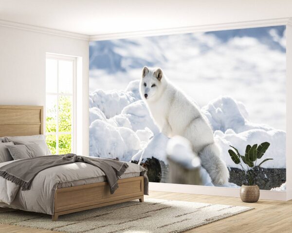 Arctic Fox Wallpaper Photo Wall Mural Wall UV Print Decal Wall Art Décor