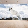 Arctic Fox Wallpaper Photo Wall Mural Wall UV Print Decal Wall Art Décor