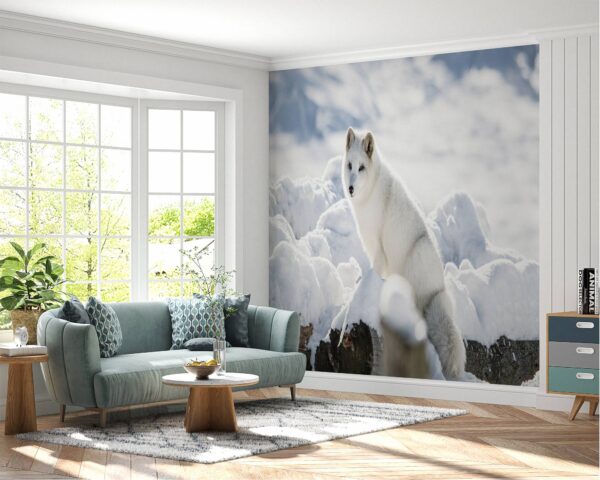 Arctic Fox Wallpaper Photo Wall Mural Wall UV Print Decal Wall Art Décor