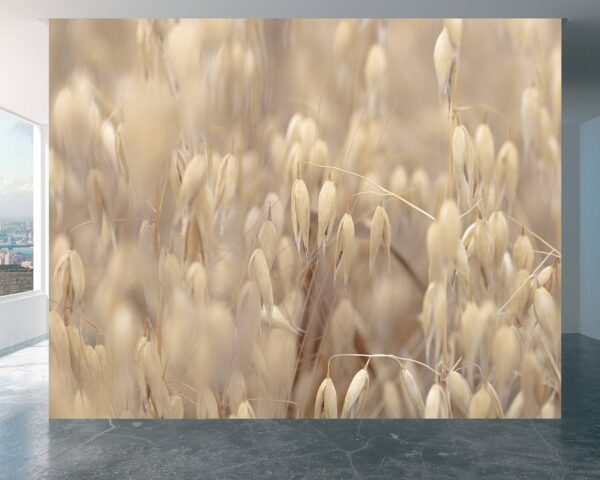 Golden oat field design on living room wallpaper.