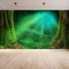 Magical Woods Landscape Wallpaper Photo Wall Mural Wall UV Print Decal Wall Art Décor