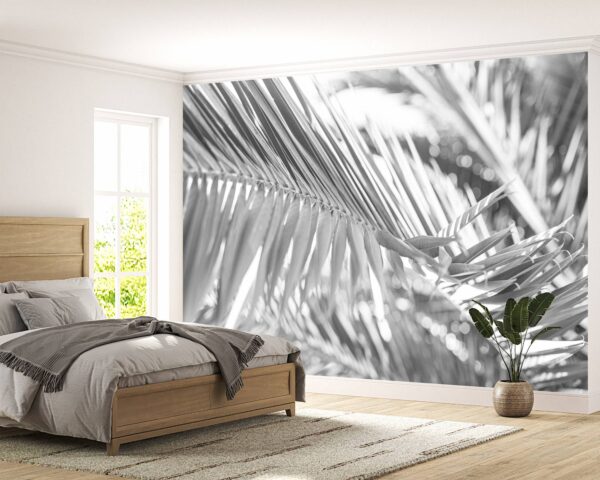 Palm Tree in Black and White Wallpaper Photo Wall Mural Wall UV Print Decal Wall Art Décor