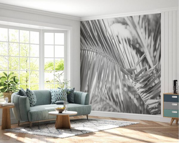 Palm Tree in Black and White Wallpaper Photo Wall Mural Wall UV Print Decal Wall Art Décor