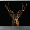 Close-up of detailed Deer Portrait Wall Mural design