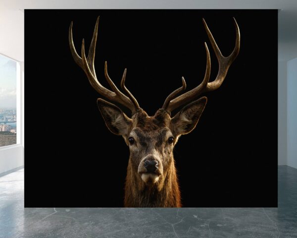 Close-up of detailed Deer Portrait Wall Mural design