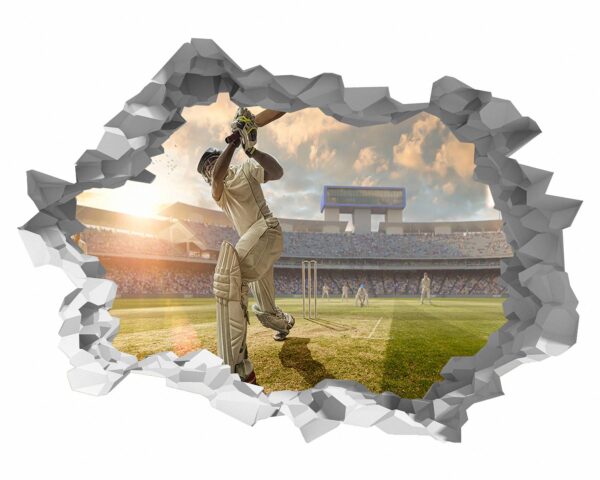 Cricket Wall Sticker - Sport Theme Wall Decor, Living Room Wall Art, Wall Decal Sports, Digital print, Removable Wall Sticker