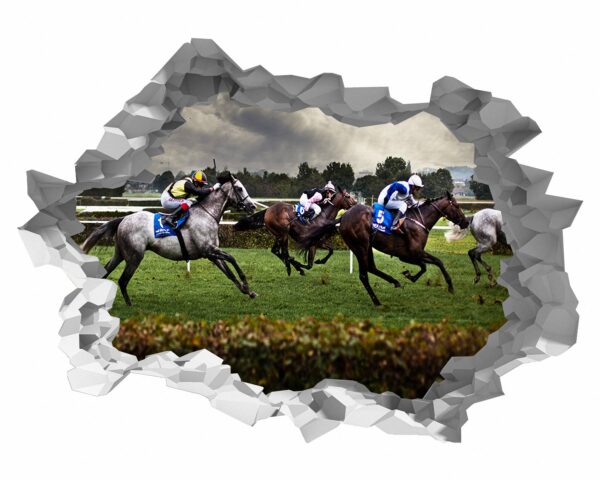 Horse Racing - Sport Wall Decal, Bedroom Wall Sticker, Self Adhesive Wall Decal, Wall Art Sport, Printable Wall Art