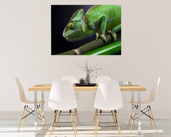 Chameleon Wall Decal - Animal Wall Sticker, Self Adhesive Wall Sticker, Green Wall Sticker, Animal Print