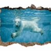 Polar Bear Wall Sticker - Animal Wall Decal, Self Adhesive Wall Sticker, Vinyl Wall Decor, Animal Print - Poster